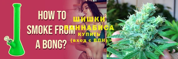 сатива Аркадак