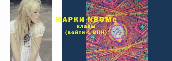 сатива Аркадак