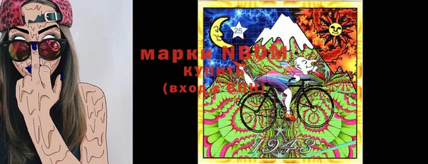 сатива Аркадак