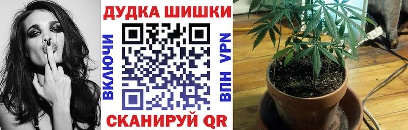 купить   Нея  Бошки Шишки планчик 